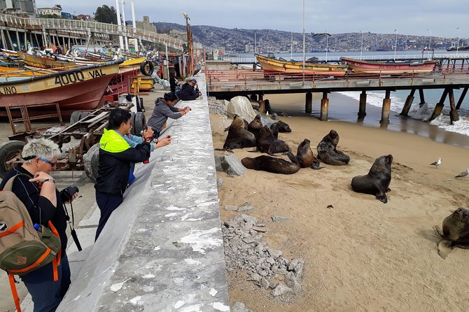 Santiago to Valparaiso & Casablanca: Port Drop-off - Customer Reviews