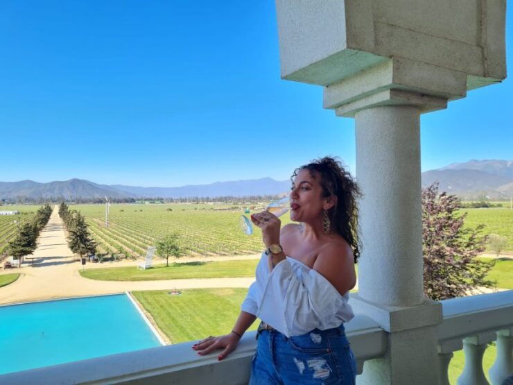 Santiago: Valparaiso, Viña Del Mar, & Casablanca Valley Tour - Tour Highlights