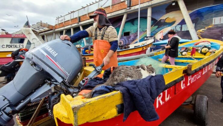 Santiago: Valparaíso Walking Tour & Casablanca Wine Tasting - Tour Highlights