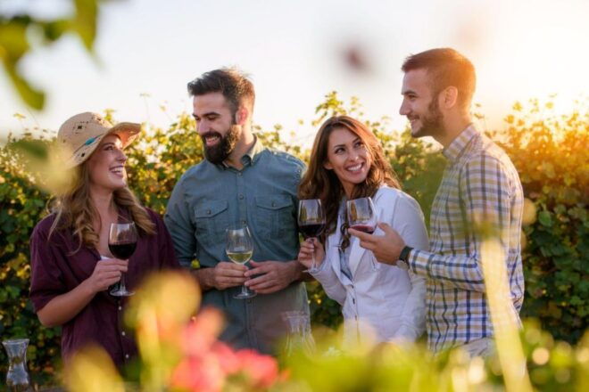 Santillana Uncorked: A Wine Tasting Adventure - Bodegas Y Viñedos Miradorio De Ruiloba