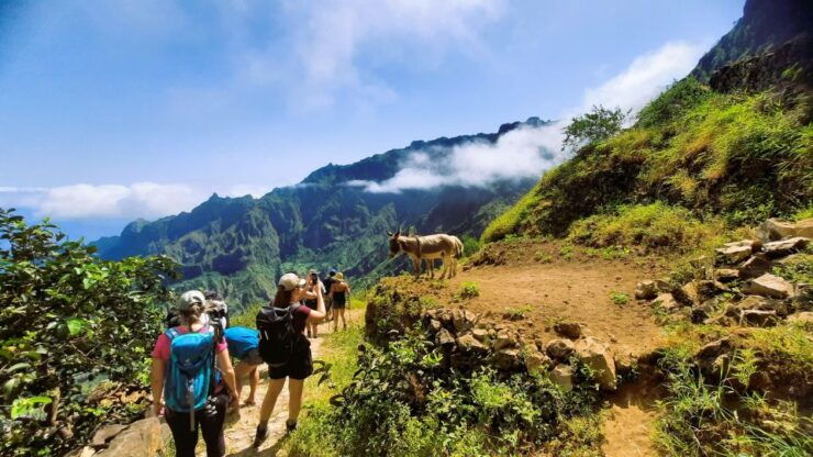Santo Antão: Hiking Cova Volcano Crater to Ribeira Paúl - Customer Reviews