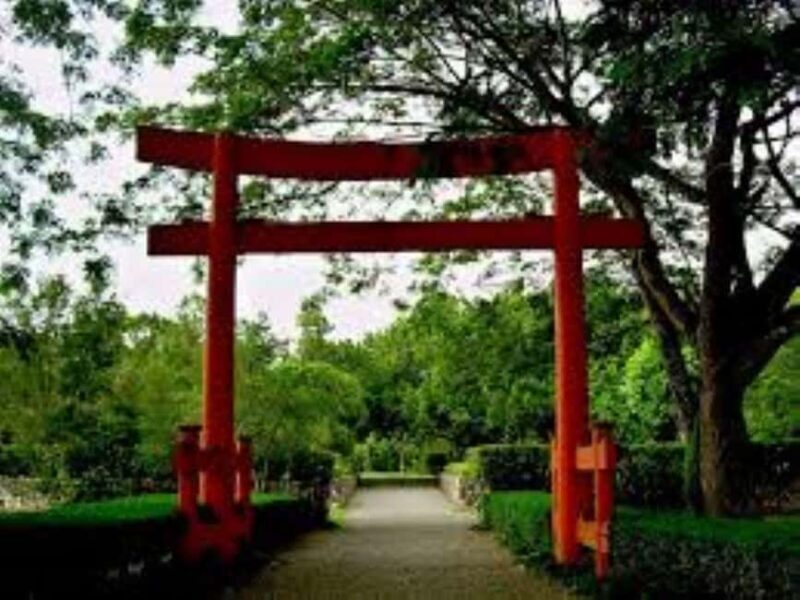 Santo Domingo: 3 Eyes Park & Botanical Garden Tour - Discovering Santo Domingo’s Natural Treasures