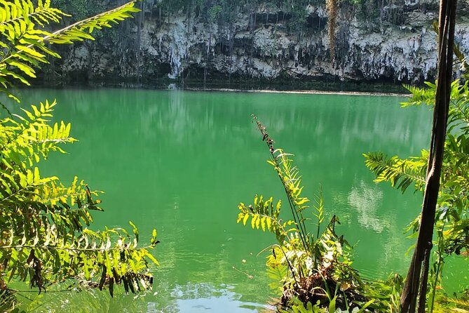 Santo Domingo City Tour From Punta Cana With Pick Up - Terms and Conditions