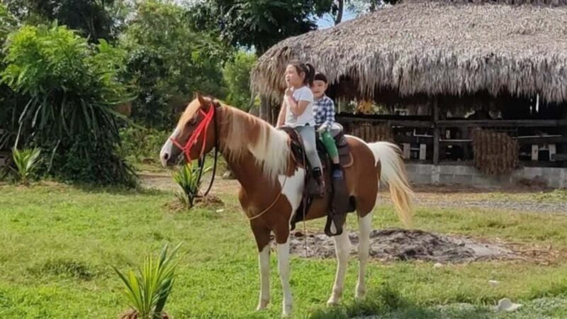 Santo Domingo: Horseback Riding - Round Trip Transportation - Authentic and Convenient Country Escape