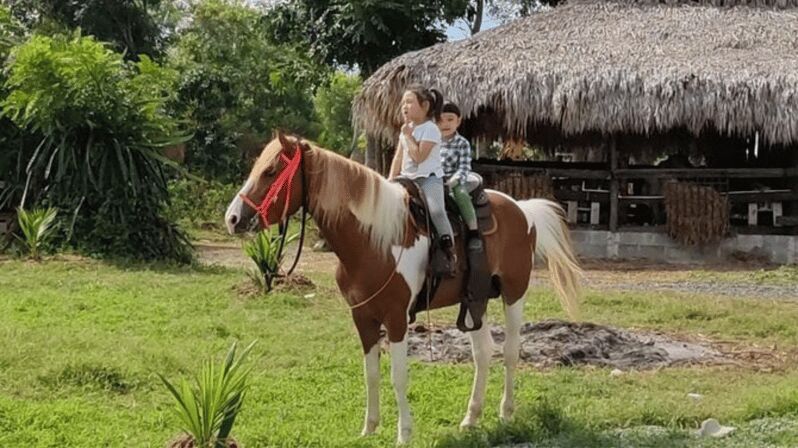 Santo Domingo: Horseback Riding - Round Trip Transportation - Frequently Asked Questions