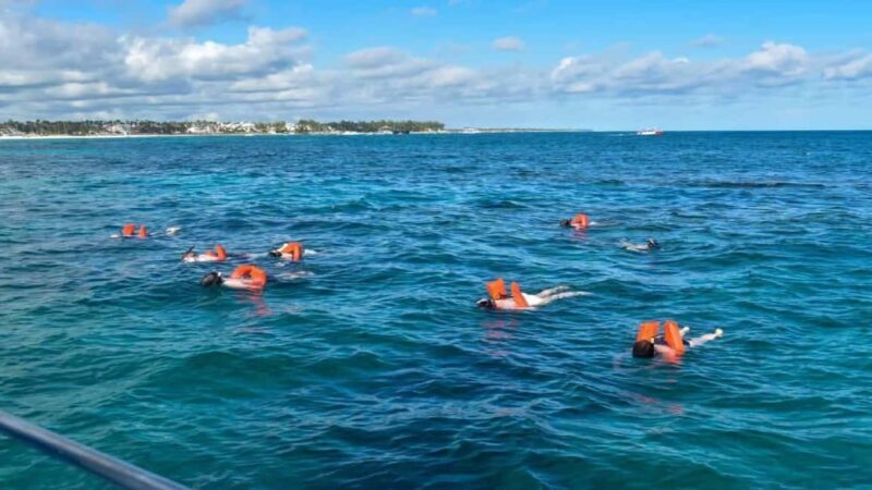 Santo Domingo: Isla Saona Day Trip with Lunch & Catamaran - FAQs