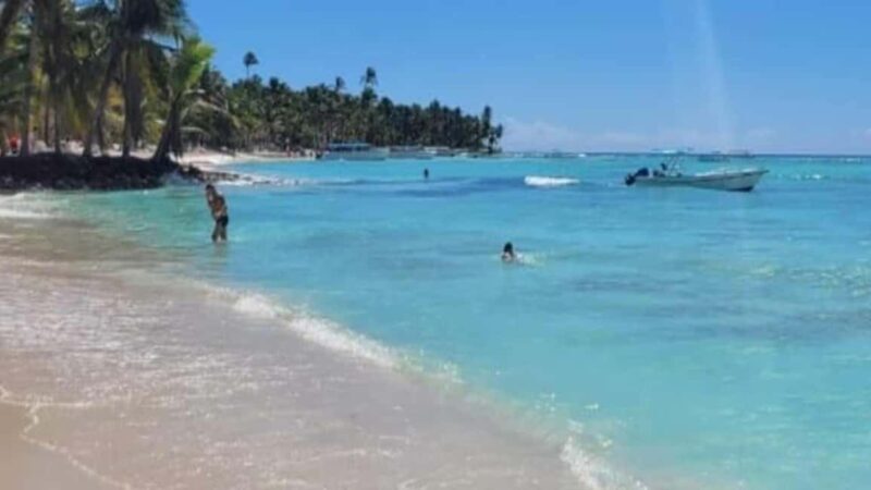 Santo Domingo: Isla Saona Day Trip with Lunch & Drinks - The Itinerary: What to Expect on Your Day Trip to Isla Saona