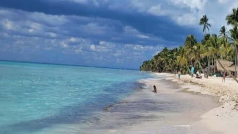 Santo Domingo: Isla Saona Day Trip with Lunch & Drinks - Value for Money and Booking Flexibility