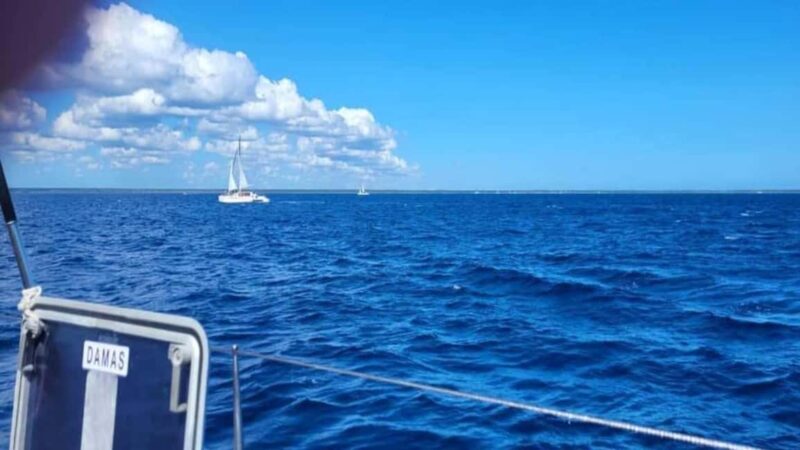 Santo Domingo: Isla Saona Day Trip with Lunch & Drinks - Final Thoughts: Is This Tour for You?