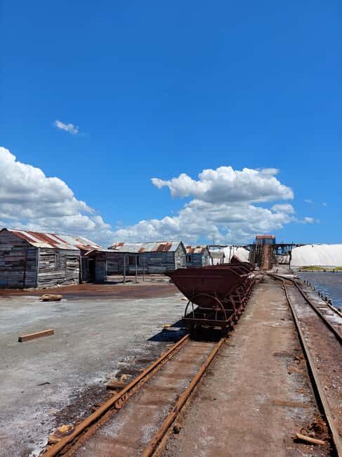 Santo Domingo: Salinas Desert Sandboarding & Snorkeling Tour - Authentic Dominican Cuisine