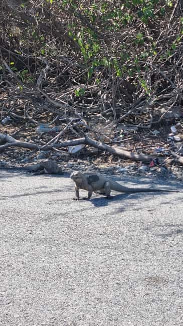 Santo Domingo: Salinas Desert Sandboarding & Snorkeling Tour - FAQ