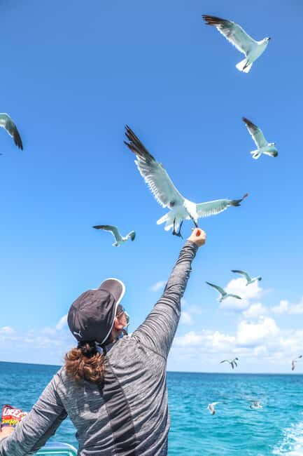 Santo Domingo: Saona Island Cataraman Food And Drink - Final Thoughts: Is This Tour Right for You?