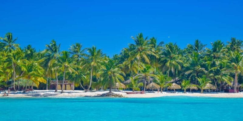 Santo Domingo to Saona: A Tropical Adventure - The Full Breakdown: What to Expect on the Santo Domingo to Saona Tour