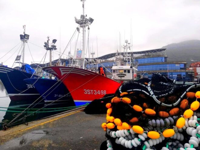 Santoña: Anchovy Art Gallery With Fishing Port and Market - Frequently Asked Questions