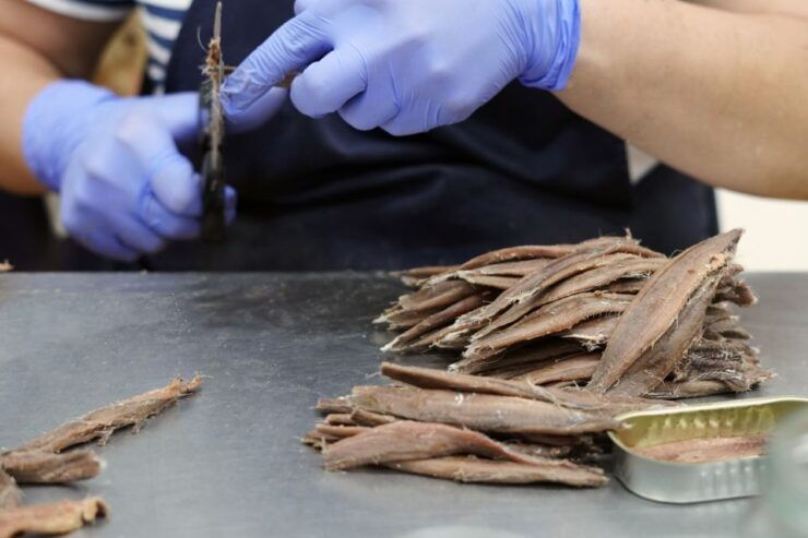 Santoña: Cannery Guided Tour With Wine and Anchovy Tasting - Experience Highlights