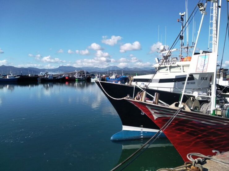 Santona: Urban and Marine Visit - Activity Details
