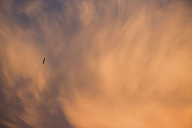 Santorini 4-Hour Photography Expedition - Booking and Payment