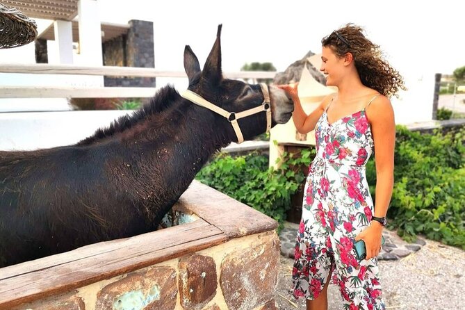 Santorini 4 Hours Private Tour : Visit All the Hotspots - Must-See Landmarks