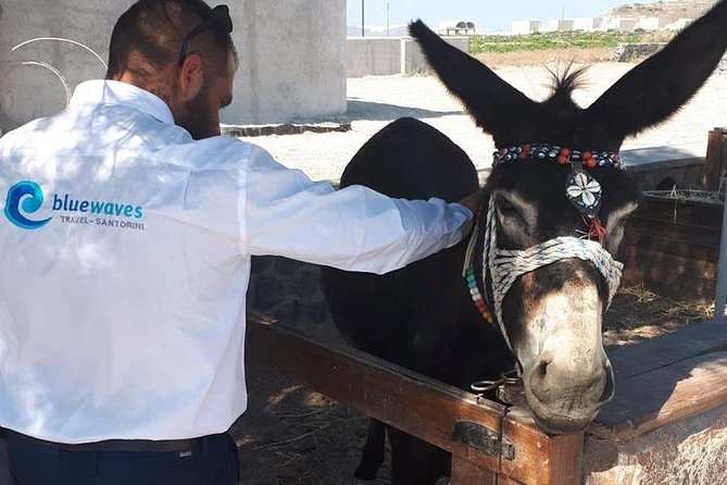 Santorini 4 Hours Private Tour : Visit All the Hotspots - Insider Tips