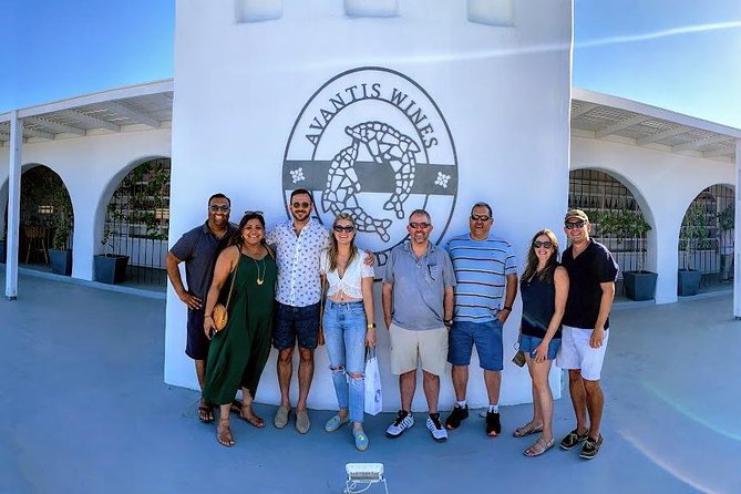 Santorini 4,5 Hours Wine Tasting Tour - Additional Information
