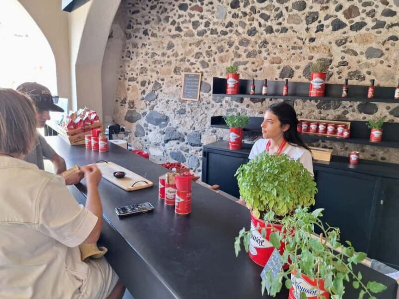 Santorini: Akrotiri Archeological Site & South Side Secrets - Who Is This Tour Best Suited For?