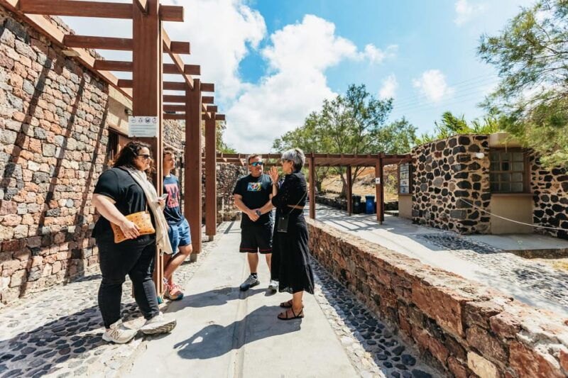 Santorini: Akrotiri Prehistoric City Private Guided Tour - Who Should Book This Tour?
