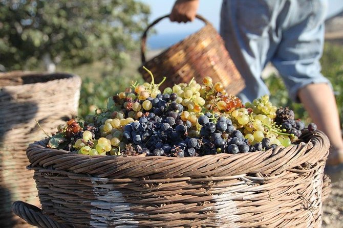 Santorini All Inclusive Full Day Private Tour - Booking and Cancellation Policy