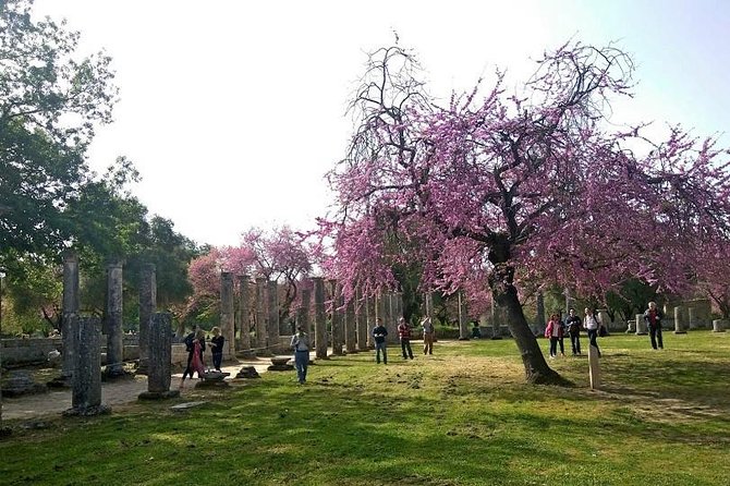 Santorini, Athens, Olympia: Multi-Port Tours Package - The Sum Up