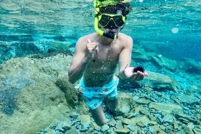 Santorini Caldera Day Traditional Cruise With Meal and Drinks - Itinerary and Activities