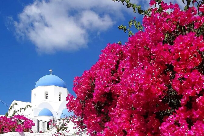 Santorini Delights: A Cruise Passengers Dream Day - Good To Know