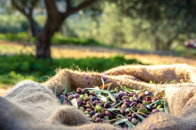 Santorini Deluxe Tour for Cruise Passengers - Common Questions