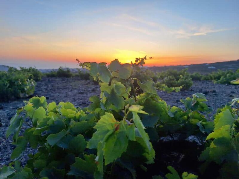 Santorini: From Reel to Real Private Tour of Hidden Gems - An Inside Look at the Private Santorini Tour