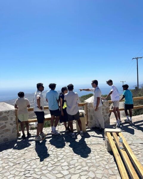 Santorini Full Day Private Customized Tour by Local Guide - Optional Activities