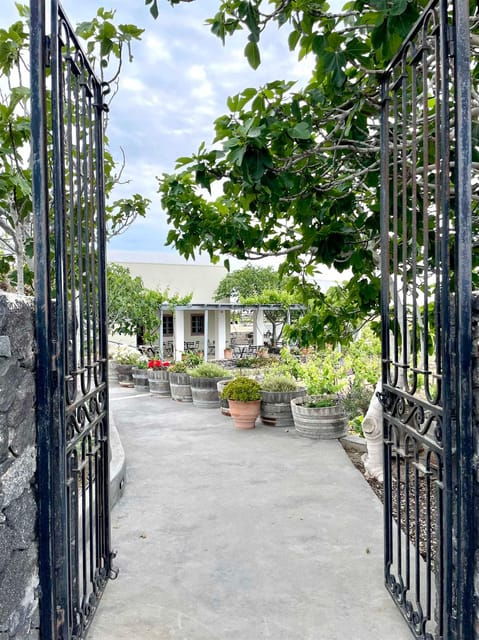 Santorini Golden Tour: Private Wine Tasting Tour-3 Wineries - Good To Know