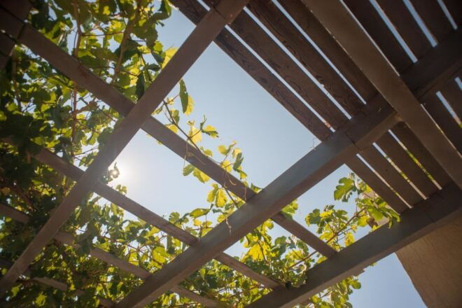 Santorini: Greek Food & Wine Tasting Tour - Highlights