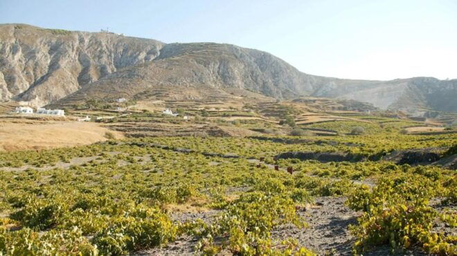 Santorini: Guided Highlights Tour With Private Wine Tasting - Itinerary