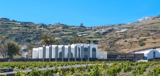 Santorini: Guided Wine Tour With Pickup and Snacks - Hotel Pickup and Transportation