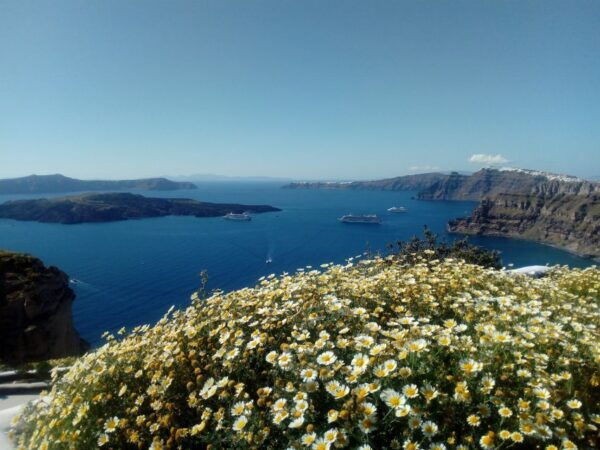 Santorini: Half-Day Private Sightseeing Tour - Common Questions