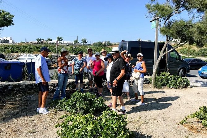 Santorini Half Day Wine Tasting & Winery Tour With Pickup - Tour Details