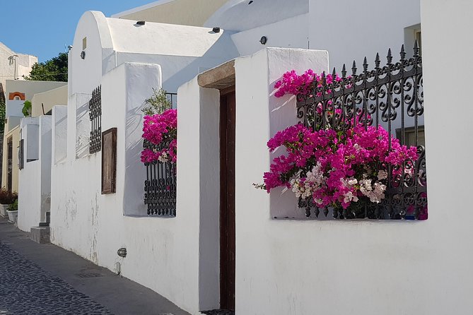 Santorini Hidden Paths and Country Side Private Tour - Pricing and Booking Details