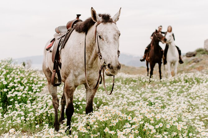 Santorini: Horse Riding on the Caldera Cliff - Common Questions