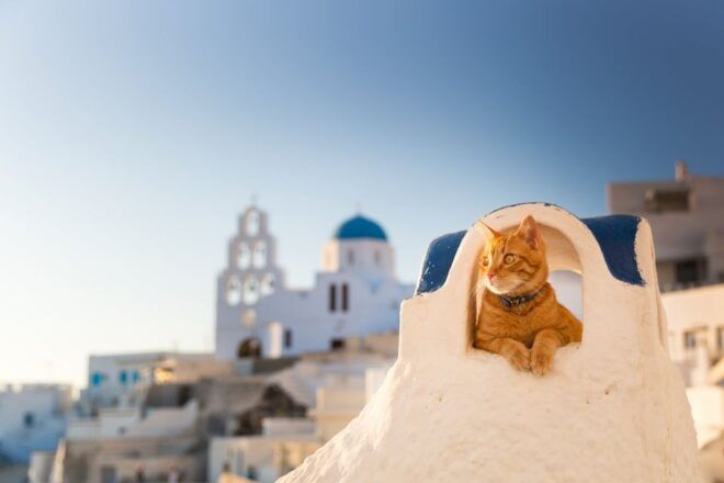 Santorini: Instagram Highlights Tour With a Photographer - What to Bring