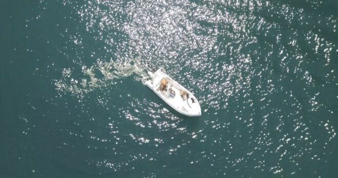 Santorini: License-Free Boat Rental With Snorkeling Gear - Language Support