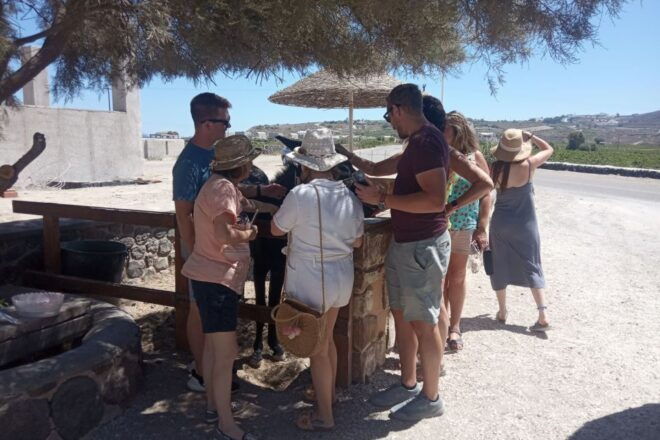 Santorini Local Hangouts: Insiders 5-hour Sightseeing Tour - Additional Information