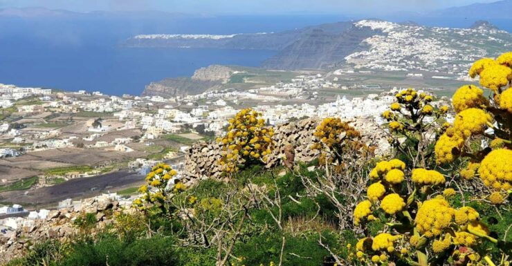 Santorini: Panoramic Views Private Tour - Tour Details
