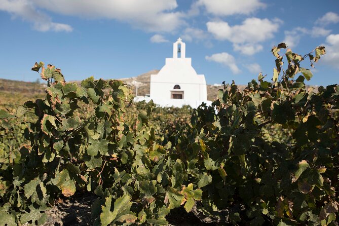 Santorini Photography & Wine Tasting Workshop - Cancellation Policy