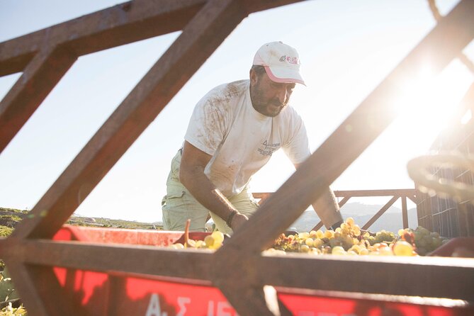 Santorini Photography & Wine Tasting Workshop - Customer Reviews