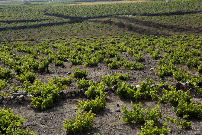 Santorini Photography & Wine Tasting Workshop - Common Questions