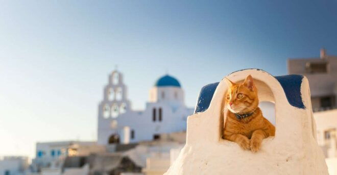 Santorini: Private 4-Hour Chauffeur Service - Full Description