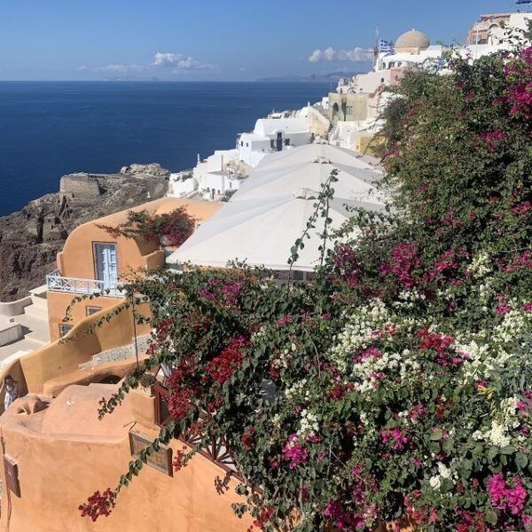 Santorini: Private 4-Hour Tour With Free Wine Tasting - Wine Tasting Experience at Koutsogiannopoulos Wine Museum